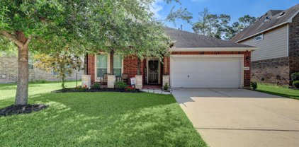 16607 River Wood Court, Crosby