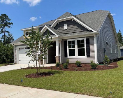 1401 Velvetleaf Way, Longs