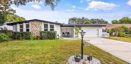 2323 Worthington Road, Maitland