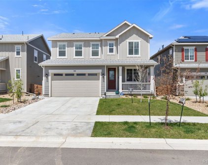 541 Bear Peak Court, Erie