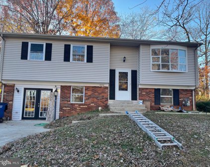 14376 Shetland Ct, Woodbridge