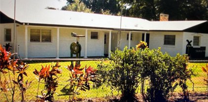 3741 Grice Street, Apopka