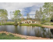 2387 County Road 119, Westcliffe image