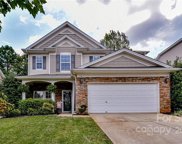 221 Lylic Woods  Drive, Fort Mill image