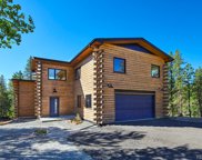 280 Dory Lakes Drive, Black Hawk image