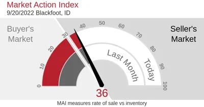 Market Action Blackfoot