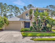5424 Lookout Pass, Zephyrhills image