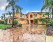 10549 Cory Lake Drive, Tampa image