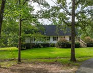 233 Killian Point, Chapin image