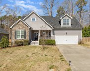 290 Paddy, Youngsville image
