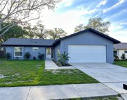 3119 Carriage Drive, Palm Harbor image