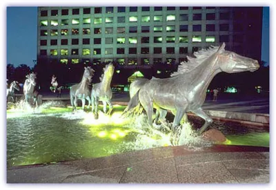 Irving Texas Real Estate - Irving Horses