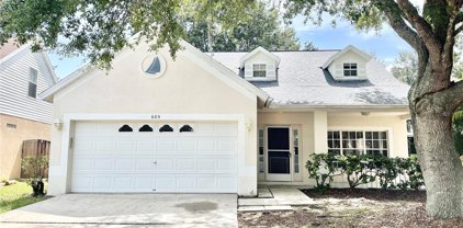 605 Back Water Court, Valrico