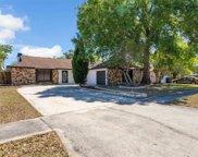 5611 Fulmar Drive, Tampa image