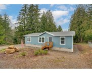 3903 MT BRYNION RD, Kelso image