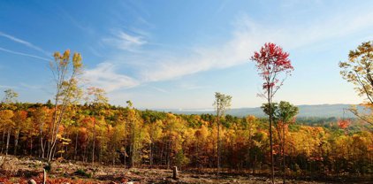 000 Gould Hill Road Unit #51.2, Hopkinton