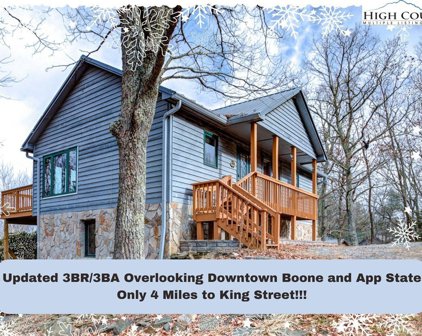166 Running Deer Trail, Boone