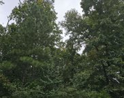 3374 Cooks Moore Road, Trussville image