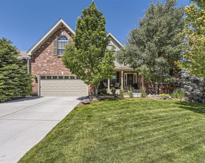 11645 Pine Hill Street, Parker