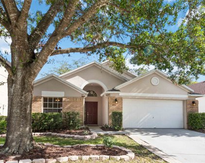 4053 Shawn Circle, Orlando