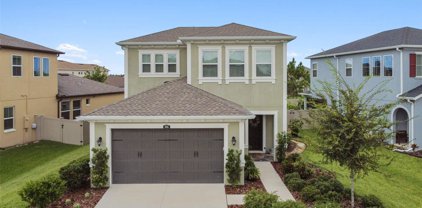4565 Tramanto Lane, Wesley Chapel