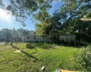 11804 Baytree Drive, Riverview image