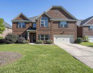 275 Hilton Village Drive, Chapin image