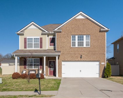 519 Hawk Cv, Smyrna