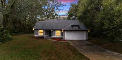 4028 White Heron Drive, Orlando
