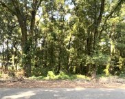 .57 Acres Riverside Drive, Dothan image