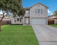 12014 Branding Pt, Helotes image