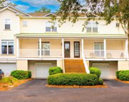 601 Merrifield Court, Mount Pleasant image