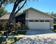 8705 Imperial Ct, Tampa image