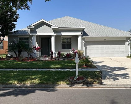 9043 Pinebreeze Drive, Riverview