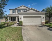 8308 Round Leaf Lane, Riverview image