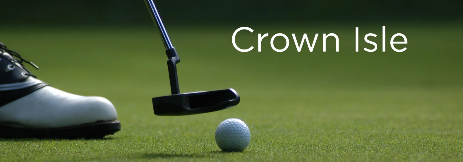 Crown Isle Real Estate