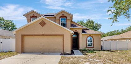 3406 Pine Top Drive, Valrico