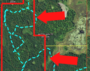 Lot 2 TBD 266th Street, Shevlin image