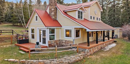 10405 Shadow Brook Drive, Conifer
