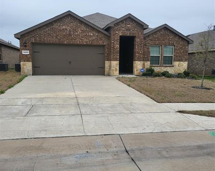 4023 Black Canyon  Drive, Forney