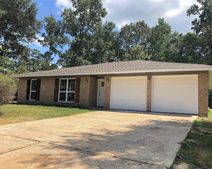 25823 Water Ridge Drive, Huffman