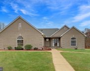 15700 Loblolly Ln, Mineral image