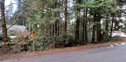18 Louise View Drive, Bellingham