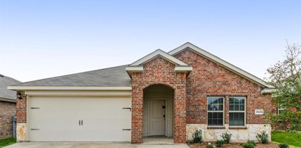 3016 Sweetwater  Trail, Forney