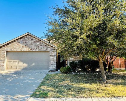 1108 Luckenbach  Drive, Forney