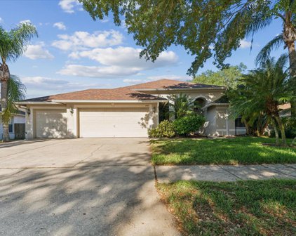 4403 Winding River Drive, Valrico