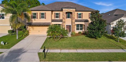 17023 Savannah Springs Lane, Orlando