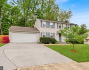 5102 Claytonia Ct, Annandale image