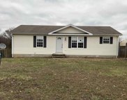 90 HARDY RD, Cadiz image