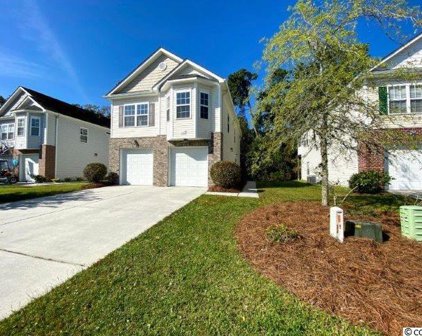 1307 Painted Tree Ln., North Myrtle Beach